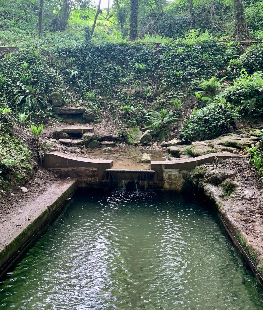 St Dyfnogs Well